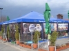 zavesi_i_shatra